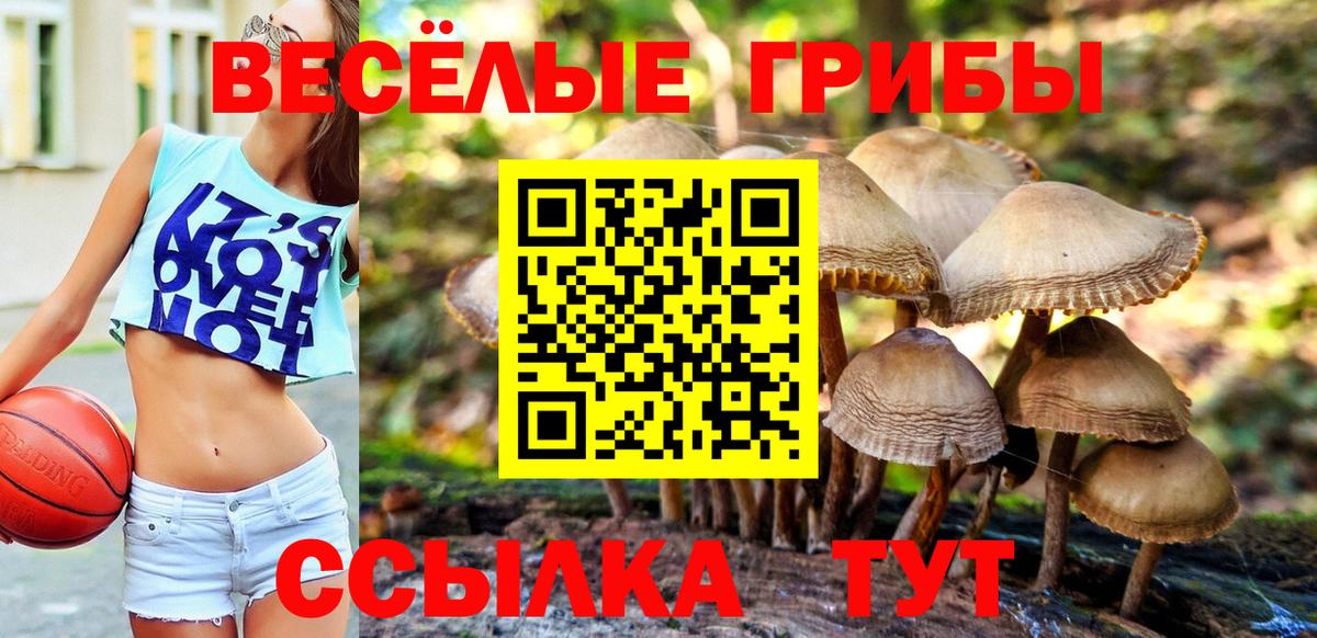 Псилоцибиновые грибы ЛСД  Вход с VPN  Спасск-Дальний 