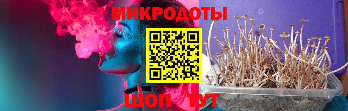 Псилоцибиновые грибы MAGIC MUSHROOMS Спасск-Дальний